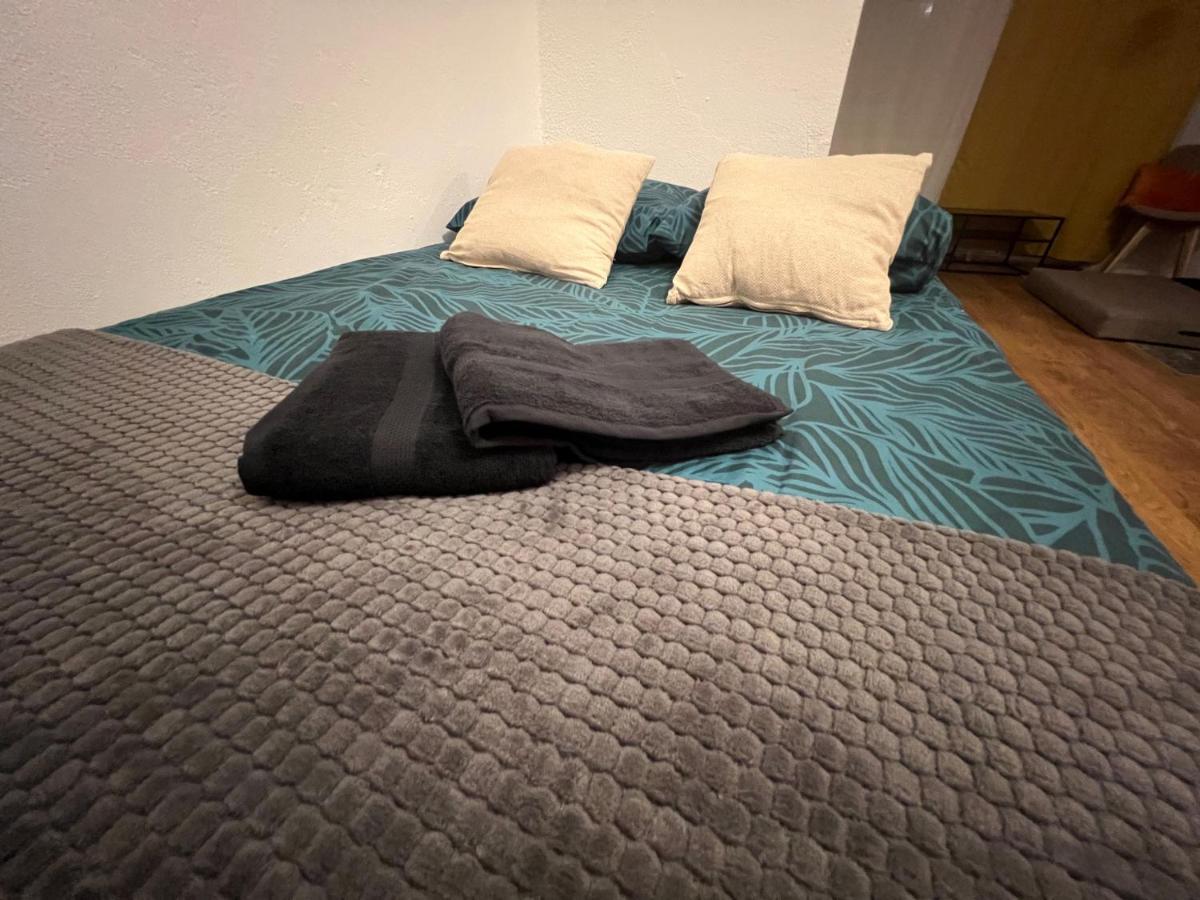 Mon Palmier Grand Appartement Parking Un-Sejour-A-Part Metz Bagian luar foto